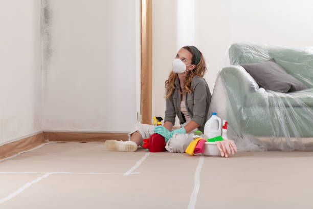 Reliable Mold Remediation contractor in Hillsborough, NC by Cheap Mold Removal